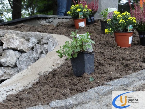 Projektmarathon Sonntag